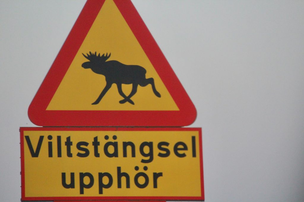 a yellow and red sign with a moose on it eland bord waarschuwing overstekend wild elanden