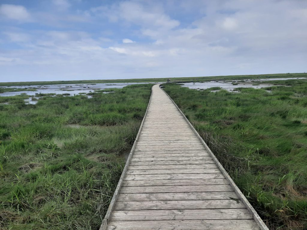 brug wandelgebied door de wadden