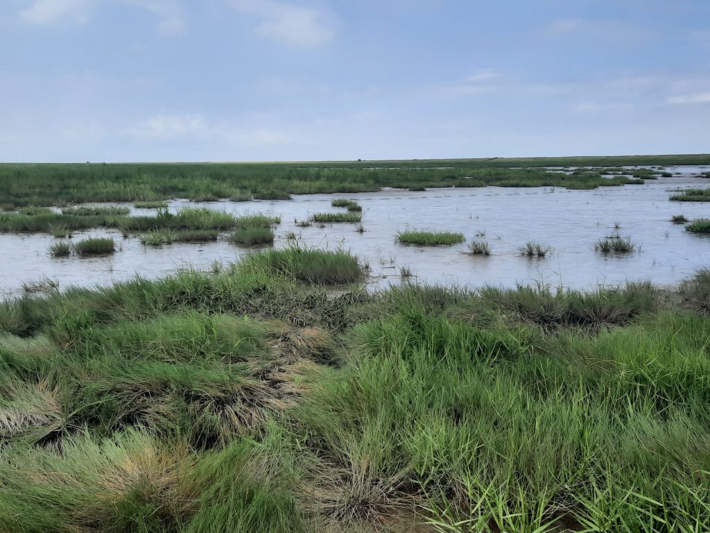 duitse waddenkust