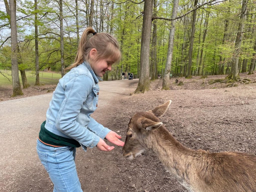 meisjes dat de hertjes voert