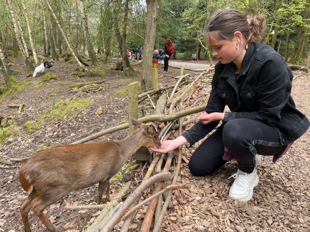 dieren voeren tripsdrill